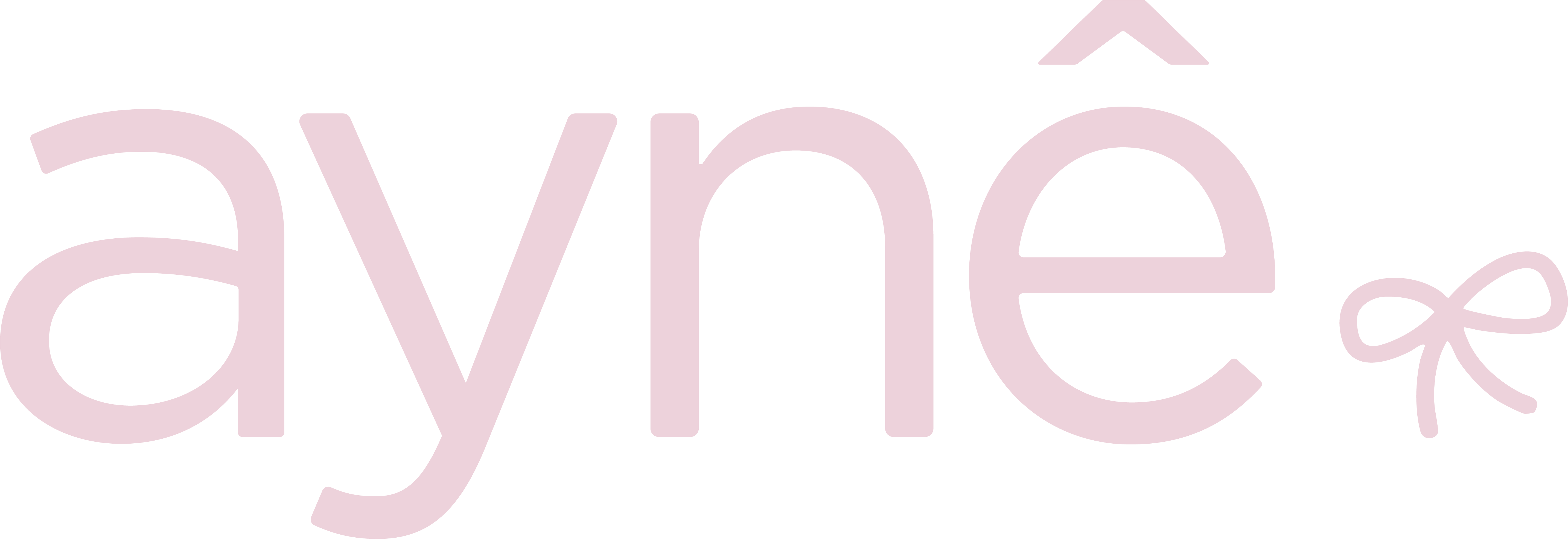 Aynê Cosméticos 